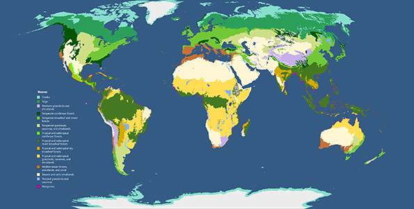 map of biomes
