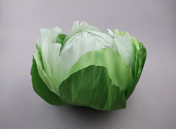 cabbage box